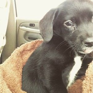 Meet your Posher, Faith